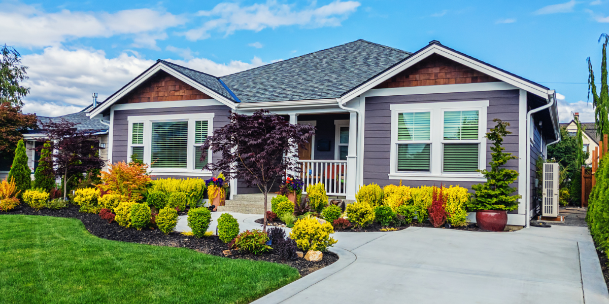 Modern Design and Customization Options[1]